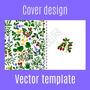 含有草药鲜花和浆果图案的印刷设计封面图片