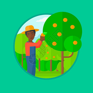 农民的手秋天收获葡萄高清图片苹果收获高清图片收获胡萝卜的特写高清