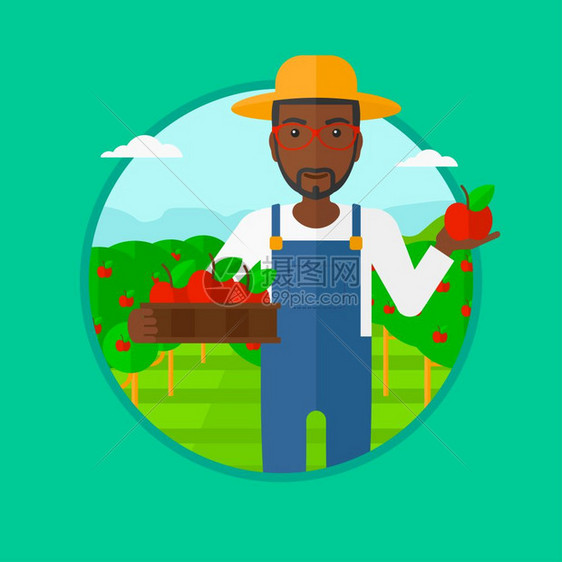 一名非洲男农民站在果园里手拿着一箱苹果卡通矢量插画图片