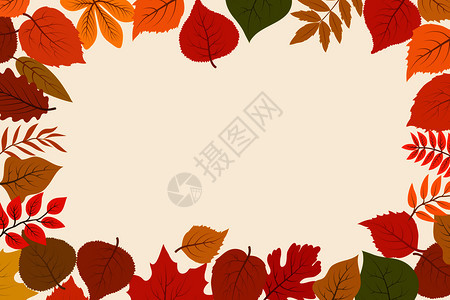 秋天树叶矢量背景图片