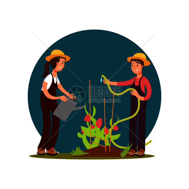 给花浇水的园丁们矢量图