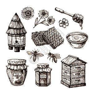 黑白手绘蜂蜜和鲜花插图图片