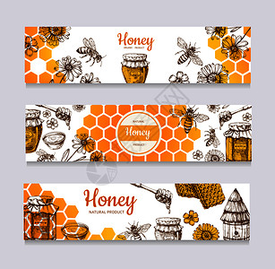 矢量蜜蜂和蜂窝健康食品标签海报插图背景图片