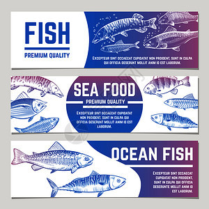 海产食品包装病媒标签海产食品展示报和横幅包装鱼旗河流和海洋草图鱼图片