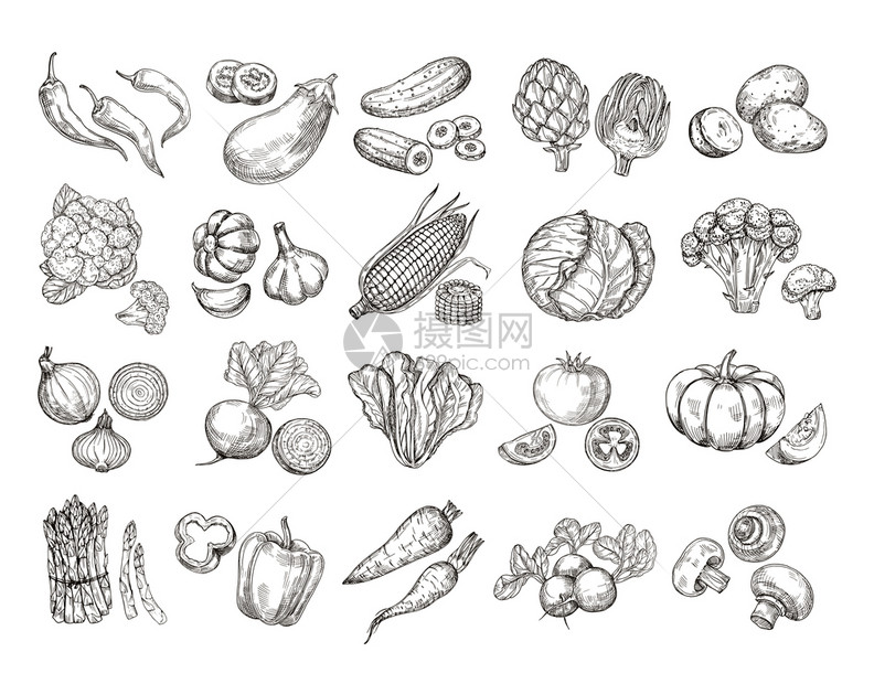 胡萝卜花椰子马铃薯沙拉蘑菇种植矢量沙拉和胡萝卜草图蘑菇插素描蔬菜老手画收藏胡萝卜花椰子马铃薯沙拉 蘑菇种植矢量插画图片下载 正版图片 摄图网 胡萝卜花椰子马铃薯沙拉蘑菇种植矢量沙拉和胡萝卜草图蘑菇插素描蔬菜老手画收藏胡萝卜花椰子马铃薯沙拉 蘑菇种植矢量插画图片下载 正版图片 摄图网