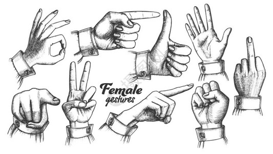 收集不同的手臂势和平掌拳头显示方向和信号手画在反向风格的插图中多个女手姿势设置矢量图片