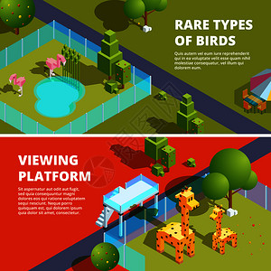 3d动物园稀有鸟类和动物园景观展示图片