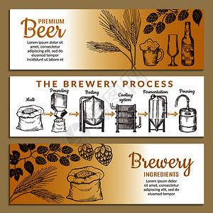 啤酒生产过程插图图片
