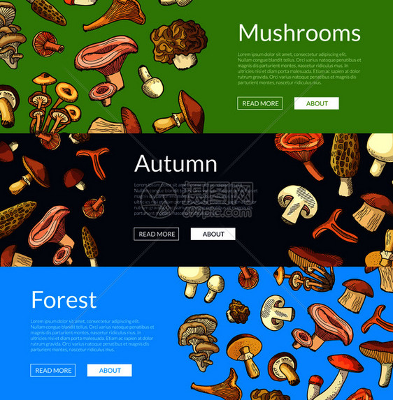 手工提取食物新鲜用蘑菇横向网络幅图示手工绘制新鲜食用蘑菇横幅图示图片