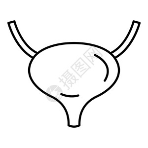 膀胱矢量图标用于在白色背景上孤立的网络设计膀胱图标大纲样式插画