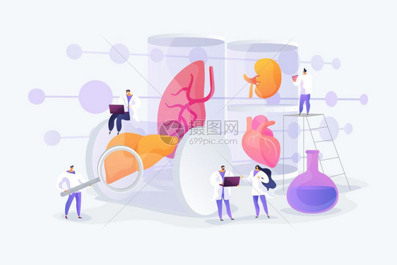 实验室培育器官矢量插图图片