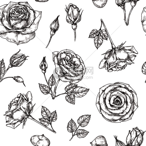 黑白手绘玫瑰矢量元素图片