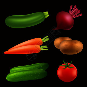 植物成熟洋葱和胡萝卜蔬菜食品现实新鲜食素健康农业产品病媒图片孤立图片