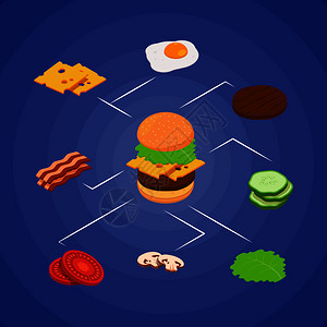 三明治汉堡和芝士成分信息图图片