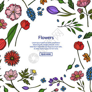 手绘夏季花卉和绿叶图案背景图片