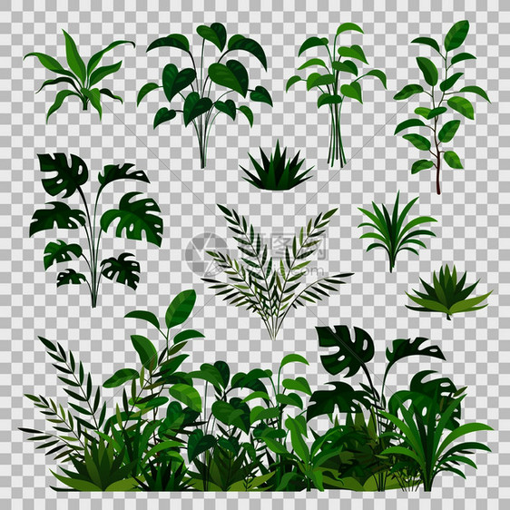 绿色植物元素图片