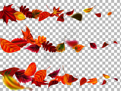 秋叶矢量元素图片