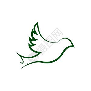 白色的鸽子鸟翅鸽徽标模板矢量插图插画