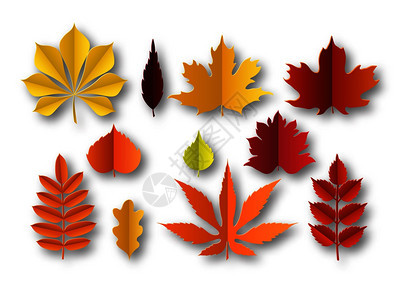 黄橙红色纸叶装饰孤立的矢量切除季节植物元素纸秋叶美丽的落下彩红和黄色纸切叶装饰孤立的矢量元素图片