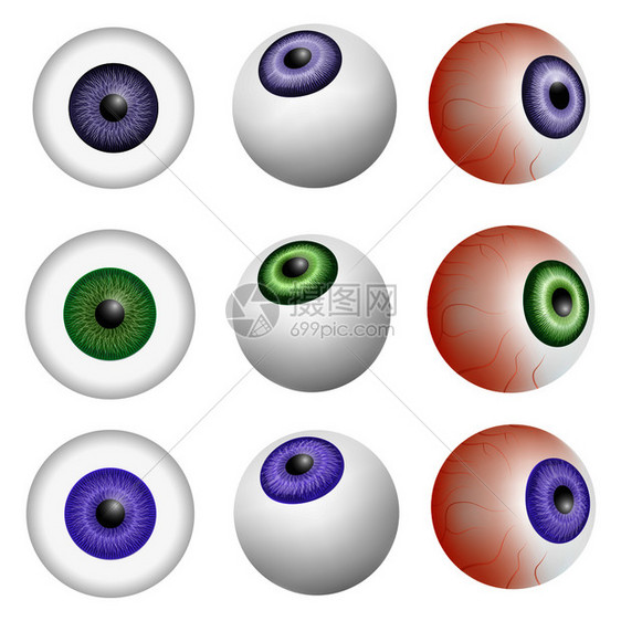 用于网络的9个眼球解剖模型眼球解剖模型设置现实的风格图片