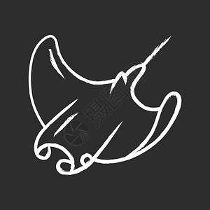 手绘海洋生物蝠鲼图片