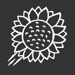 卡通黑白向日葵矢量插图图片素材