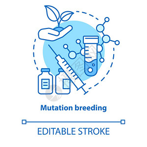 生物工程和技术概念的细线插图基因改变和植物选择矢量孤立的大纲绘制图片