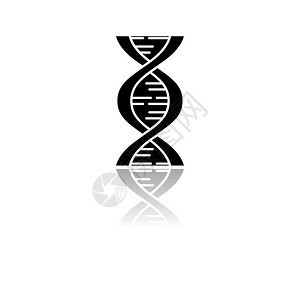 遗传学研究dnahelix分子结构基因组科学研究遗传工程染色体基因孤立矢量图解图片