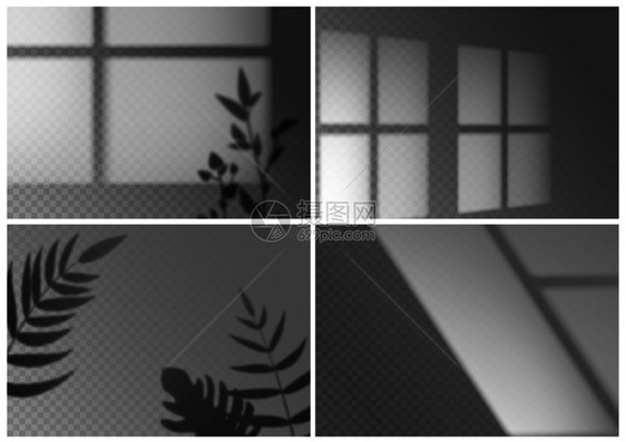 棕榈树枝和窗口框架自然光效矢量透明背景图片
