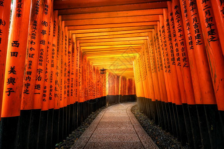 日本京都的fushimnar神庙图片