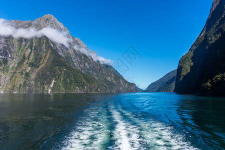 新西南岛密尔福德的轮渡游图片