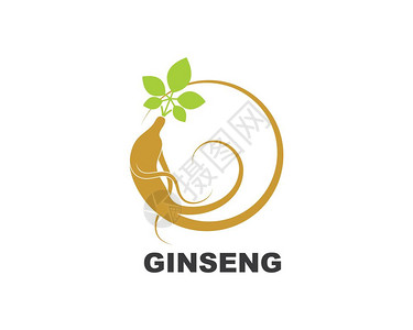 韩国人参图示标矢量设计模板插画