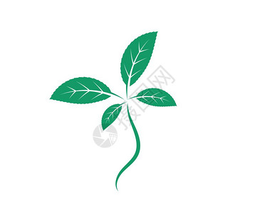 茶符号薄片叶图解矢量模板设计背景
