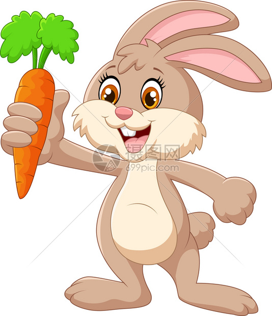 拿着胡萝卜的兔子图片