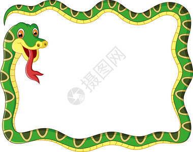 蛇形插图背景图片
