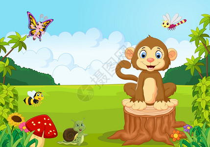 森林中快乐的猴子背景图片