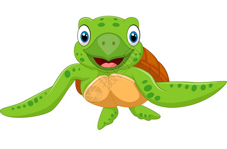 可爱的小海龟插图图片