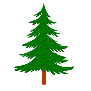 松树卡通森林插画