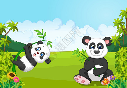 丛林中的熊猫图片