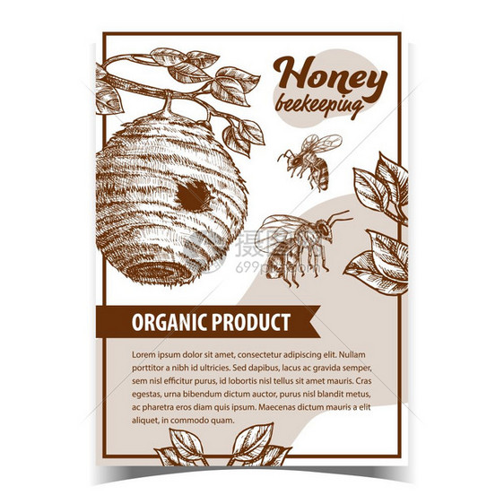 野生物蜜蜂养护和甜有机产品配单色图示蜜蜂昆虫和野生巢海报矢量图片