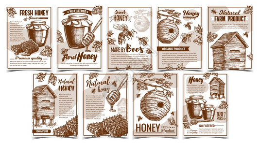 蜜蜂野生和木类海报矢量蜜蜂昆虫棒装有蜂蜜和的玻璃瓶养蜂和甜食有机产品布局设计出单色图解野生和木蜂类海报矢量图片