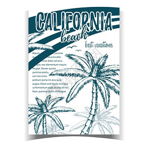 复古单色美丽热带棕榈树广告海报插图图片