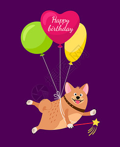 有趣的小狗在气球上飞翔图片
