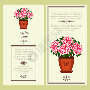 花盆里盛开的鲜花矢量插画标签设计图片