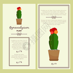 江诗丹顿花盆里的植物仙人掌矢量插画贺卡设计图片