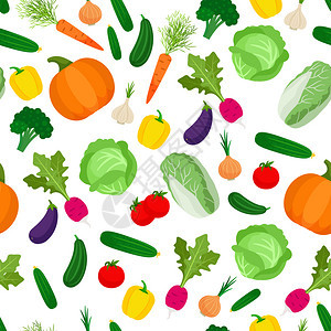 南瓜白菜黄瓜蔬菜插画图片