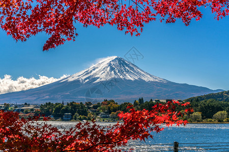 日本秋天的川口湖景色图片