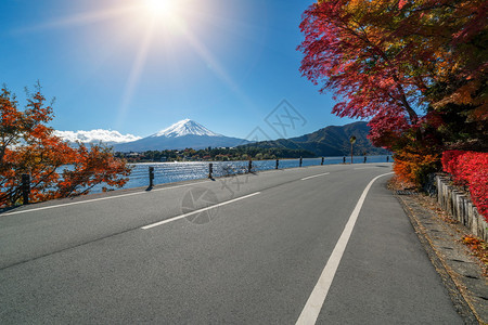 日本秋天的川口湖沿岸公路景色图片