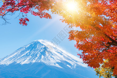 秋日下的富士山图片