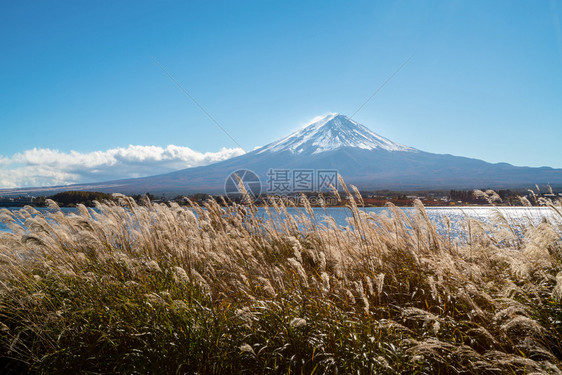 日本秋天的川口湖景色图片